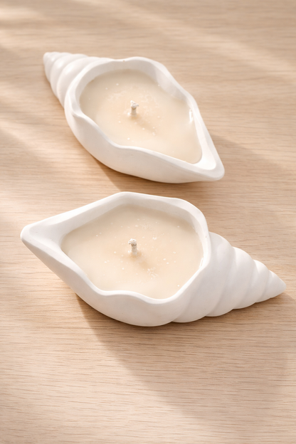 Shell Candle
